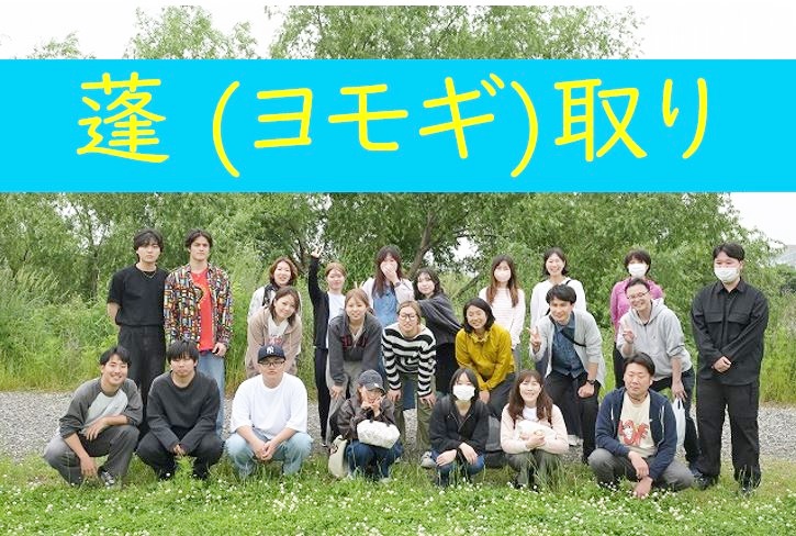 【東洋ブログ 大希のつぶやき】ヨモギ取り