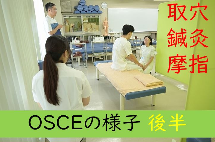 【東洋ブログ 大希のつぶやき】OSCE後半 取穴と鍼灸とあん摩指圧