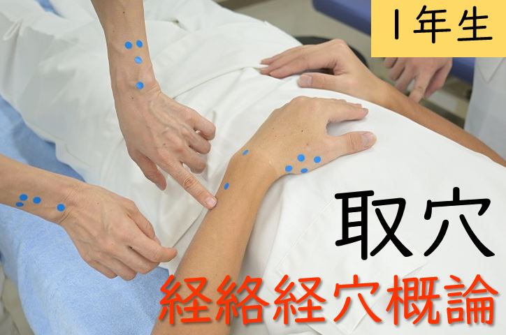 【東洋ブログ 大希のつぶやき】ツボの授業②