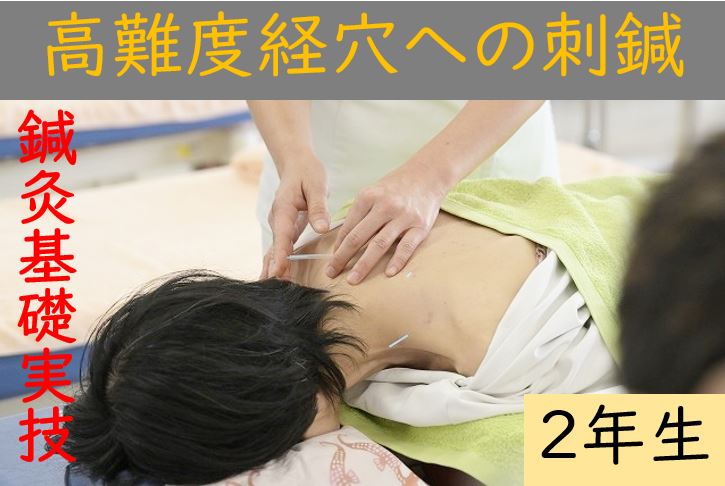 【東洋ブログ 大希のつぶやき】２年生 高難度経穴への刺鍼