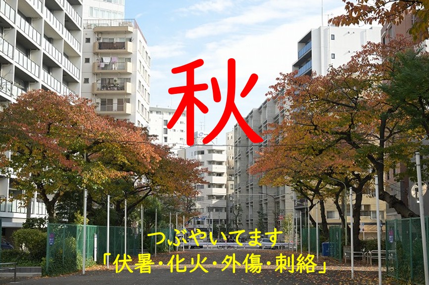 【東洋ブログ 大希のつぶやき】秋のグリーンベルト