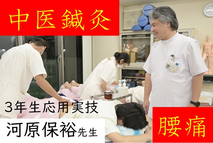 【東洋ブログ 大希のつぶやき】中医鍼灸 腰痛