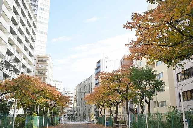 【東洋ブログ 大希のつぶやき】秋のグリーンベルト