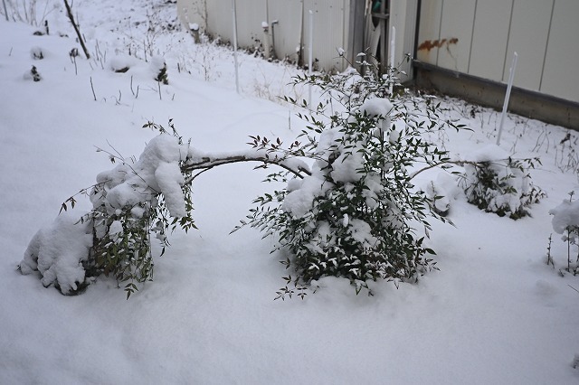 【東洋ブログ 大希のつぶやき】2026年もよろしくお願いします。