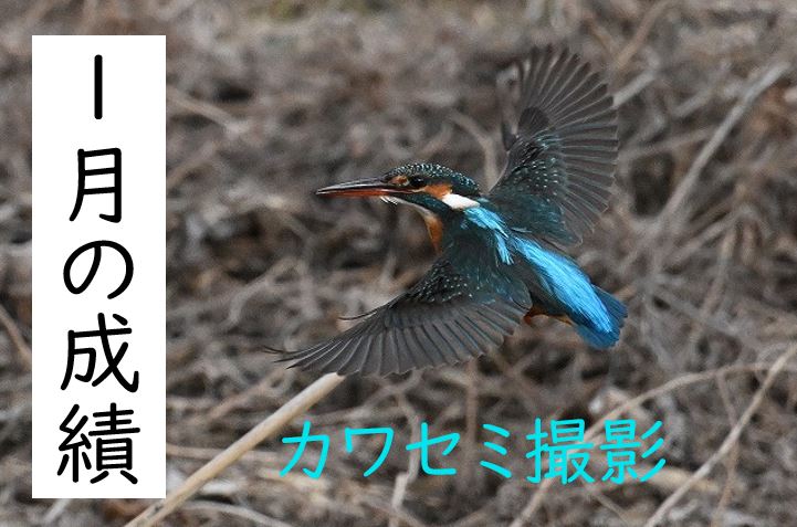 【東洋ブログ 大希のつぶやき】1月の成績