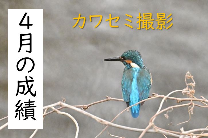 【東洋ブログ 大希のつぶやき】４月の成績