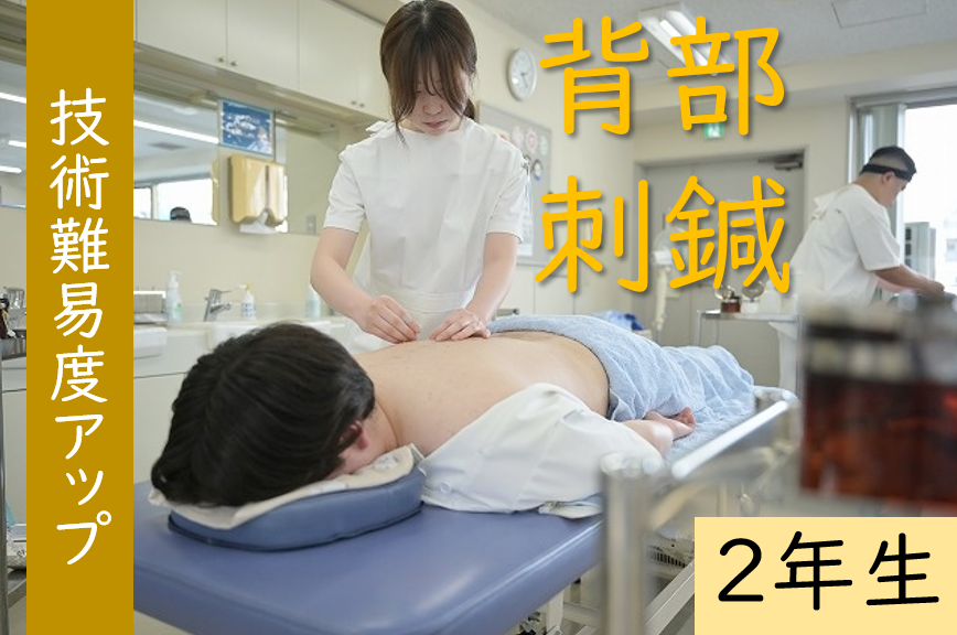 【東洋ブログ 大希のつぶやき】難易度アップ 背部の刺鍼