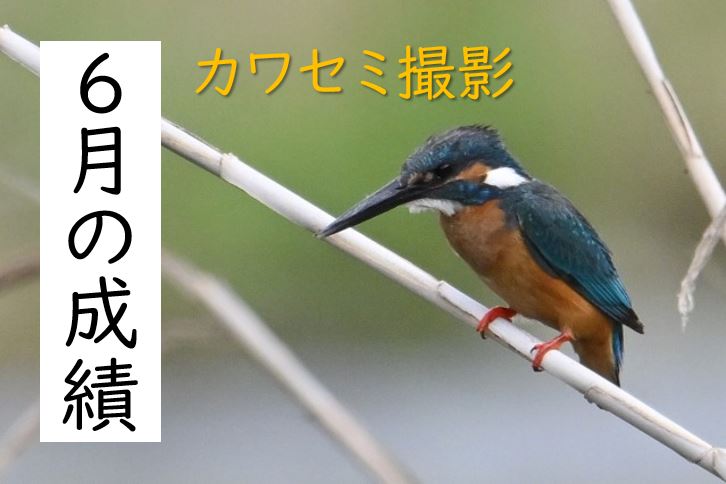 【東洋ブログ 大希のつぶやき】６月の成績