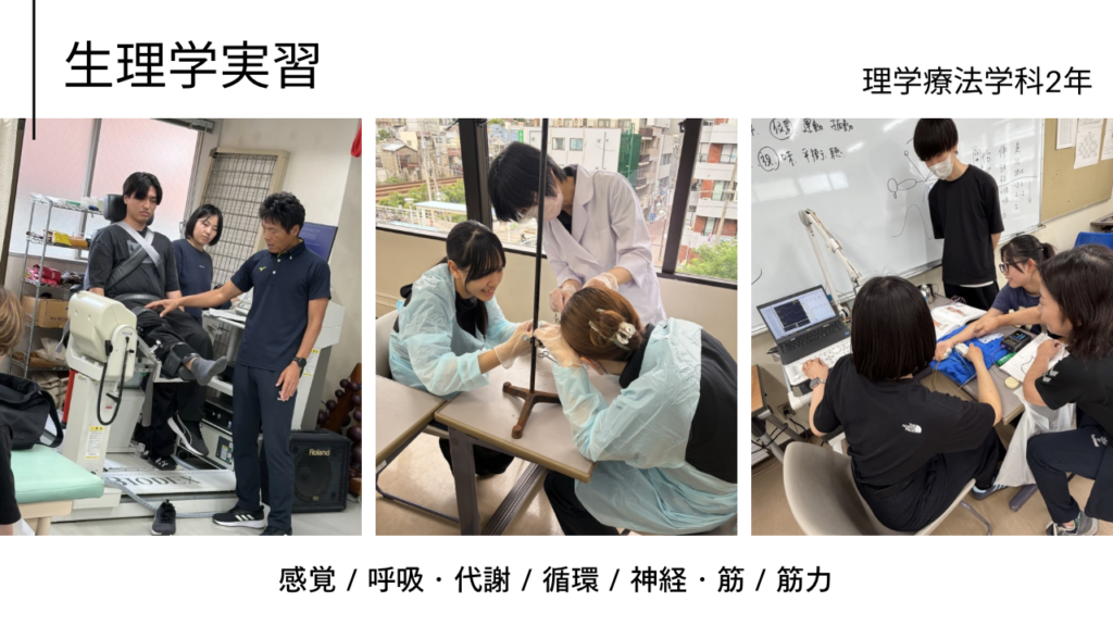 二年生の生理学実習が始まりました！