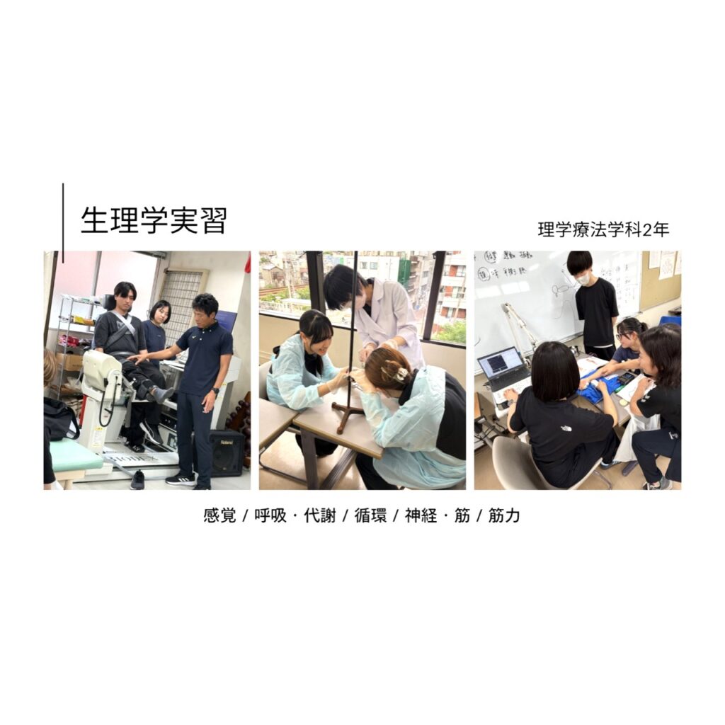 二年生の生理学実習が始まりました！