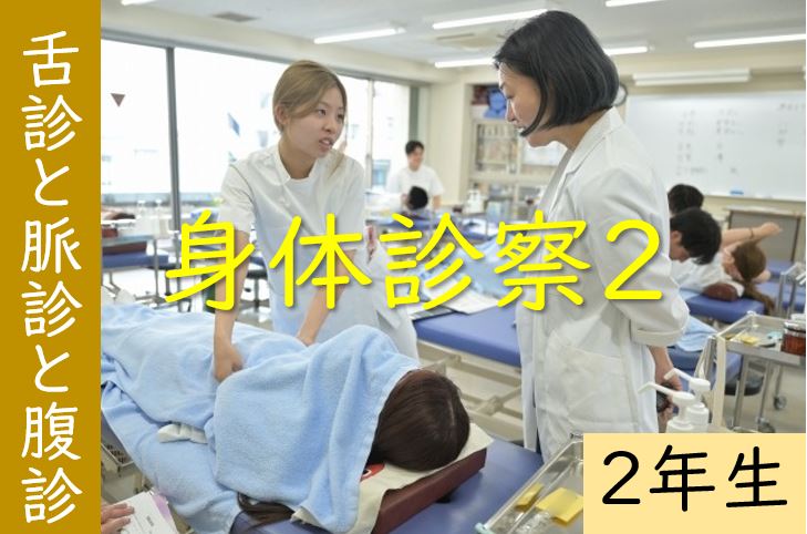 【東洋ブログ 大希のつぶやき】 舌診と脈診と腹診