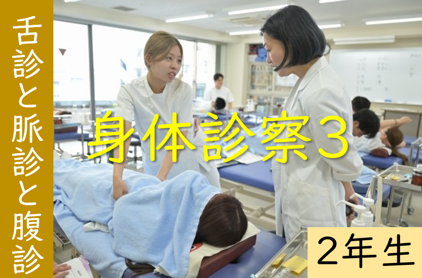 【東洋ブログ 大希のつぶやき】 舌診と脈診と腹診