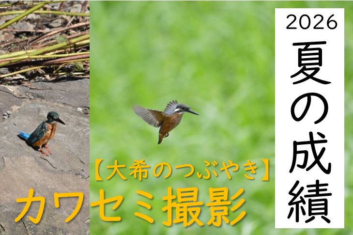 【東洋ブログ 大希のつぶやき】夏の成績
